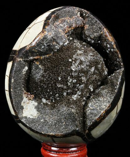 Septarian Dragon Egg Geode - Black Crystals #57408